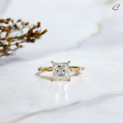 Princess Cut Moissanite Diamond Distance Pave Setting Anniversary Ring