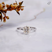 IGI Certified Cushion Cut Lab Grown Diamond Hidden Halo Solitaire Engagement Ring